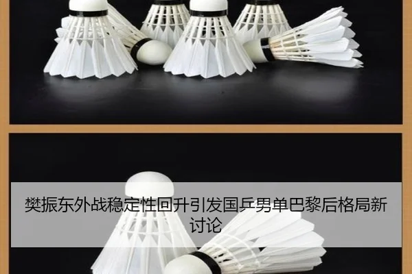 樊振东外战稳定性回升引发国乒男单巴黎后格局新讨论